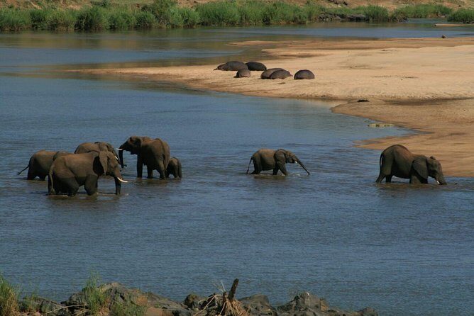 Fully inclusive Pilanesberg safari from Johannesburg - The 6:00am start and round-trip transfers from Johannesburg