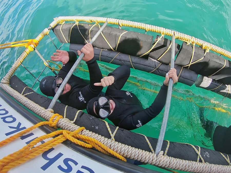Gansbaai: Shark Cage Diving and Shark Viewing Boat Trip - Meeting at Cape Shark Adventures: where the trip starts (and why timing feels easier)
