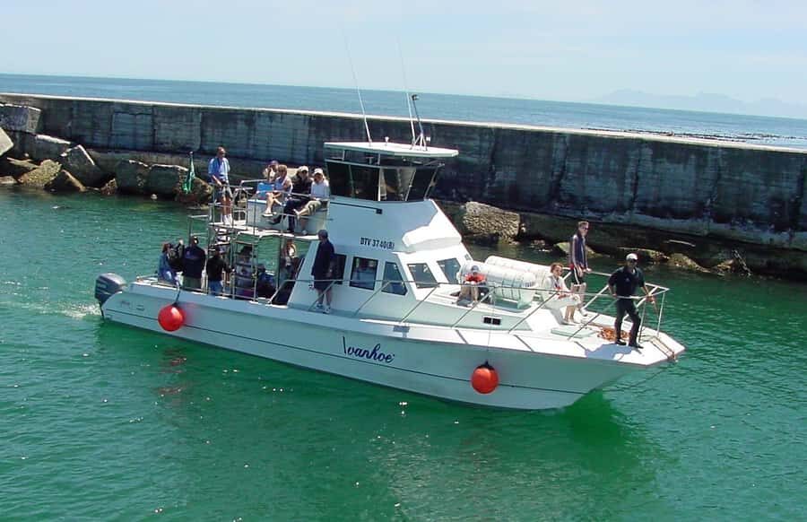 Gansbaai: Whale Watching Trip by Boat - From Gansbaai Harbour to De Kelders: where the trip really starts
