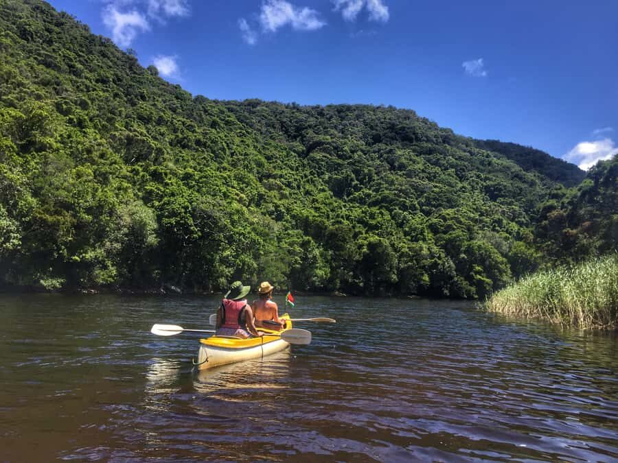Garden Route and Addo Elephant National Park: 5-Day Safari - Why this 5-day route feels efficient (not rushed)