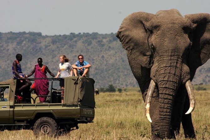 Garden Route & Botlierskop G Reserve 5 Day Safari from Cape Town - Botlierskop Private Game Reserve: 4x4 safari time with real sightings potential