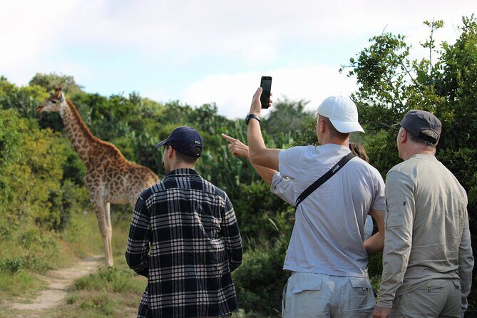 Giraffe Tracking 4x4 Safaris - Bellevue Forest Reserve: where your safari starts and what your morning (or afternoon) looks like