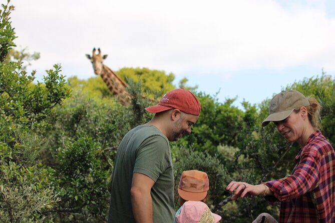 Giraffe Tracking 4x4 Safaris - The 4x4 drive through Bellevue’s bushveld: spotting zebra, kudu, and more before the walk