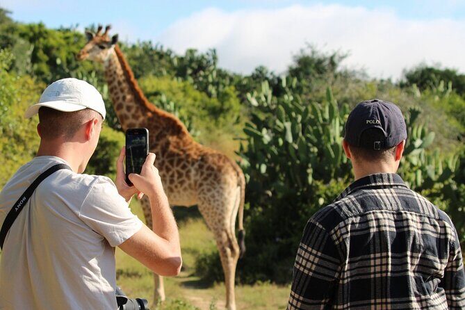 Giraffe Tracking 4x4 Safaris - Practical tips: how to have a smoother, better giraffe tracking day