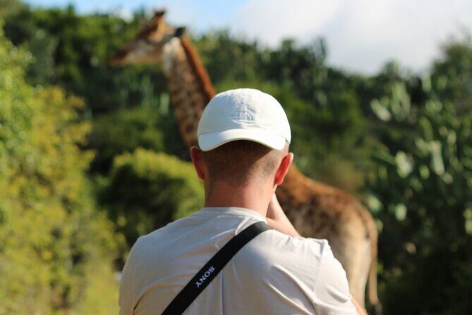 Giraffe Tracking 4x4 Safaris - The on-foot giraffe tracking: the point of the whole safari