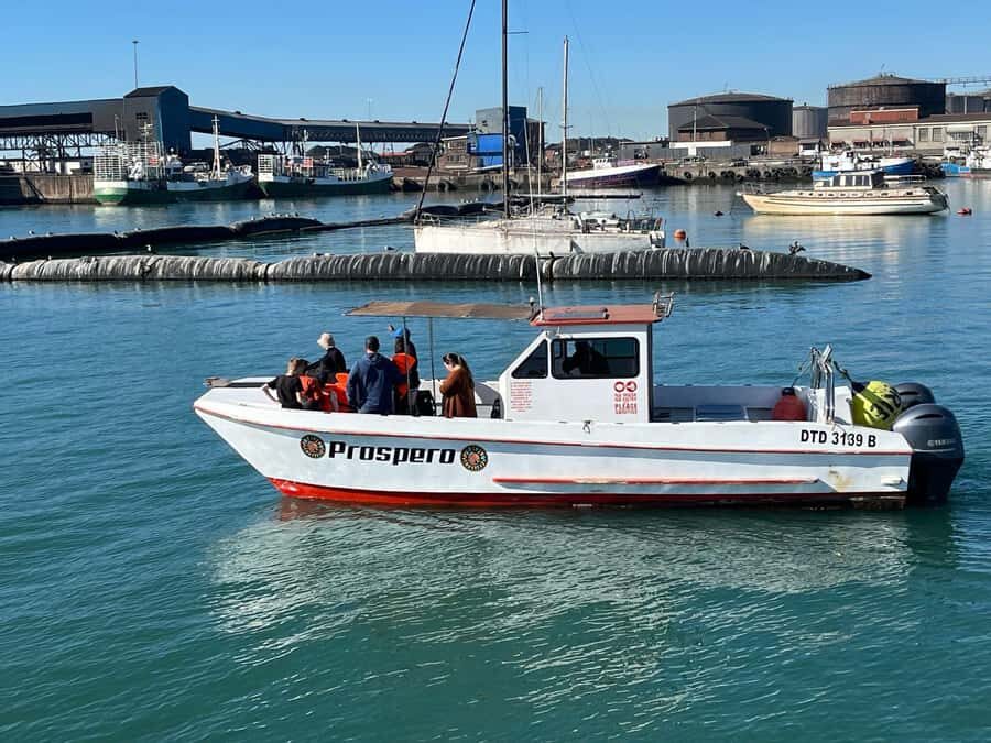Gqeberha: 30 MINUTE HARBOUR CRUISE - Key Takeaways Before You Go