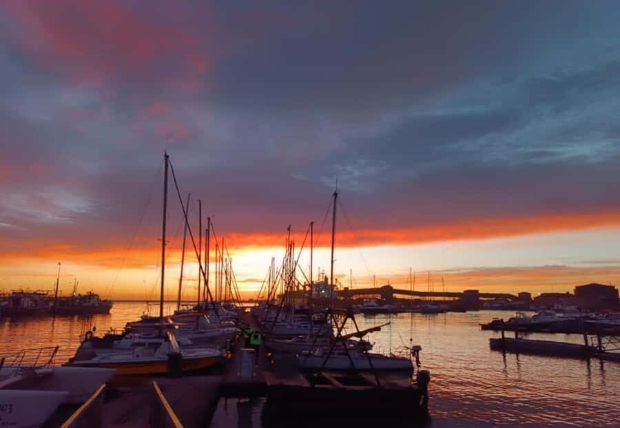 Gqeberha: 30 MINUTE HARBOUR CRUISE - Your Guide, Small-Group Pace, and Multilingual Comfort