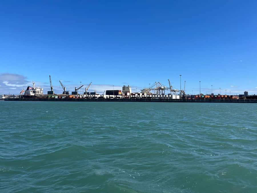 Gqeberha: 30 MINUTE HARBOUR CRUISE - Should You Book Prospero Charters’ 30-Minute Trip?