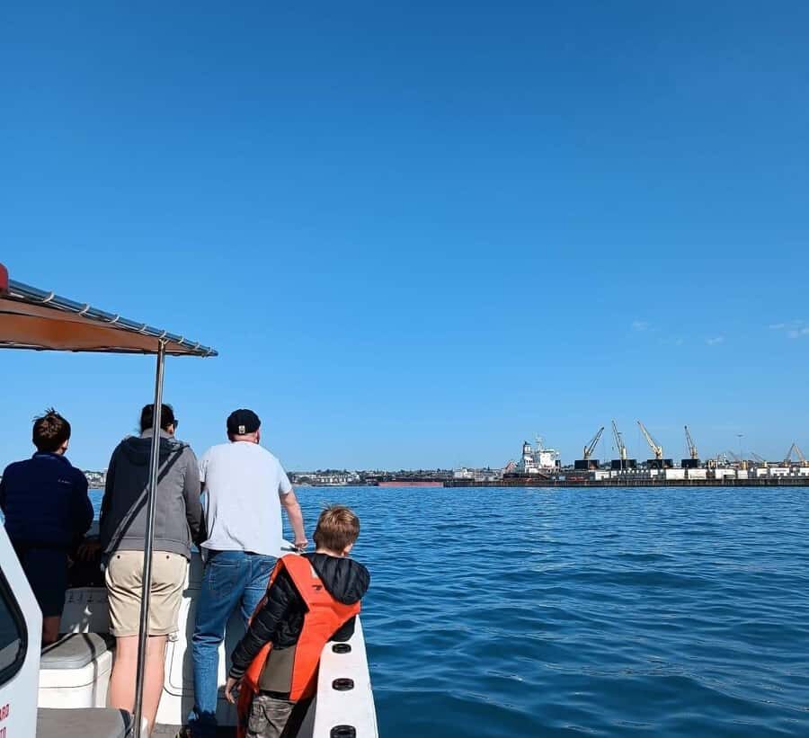 Gqeberha: 30 MINUTE HARBOUR CRUISE - From Yacht Club to Harbour Views: The 30-Minute Flow