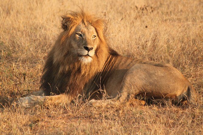 Greater Kruger National Park 4 day safari at a private game lodge - The drive from Johannesburg: a long start that sets the tone