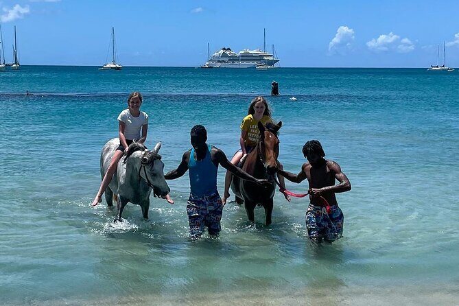 Gros Islet Village Horseback Riding run with Dore's riding Stable - Cap Estate start: coast views and a small-group rhythm