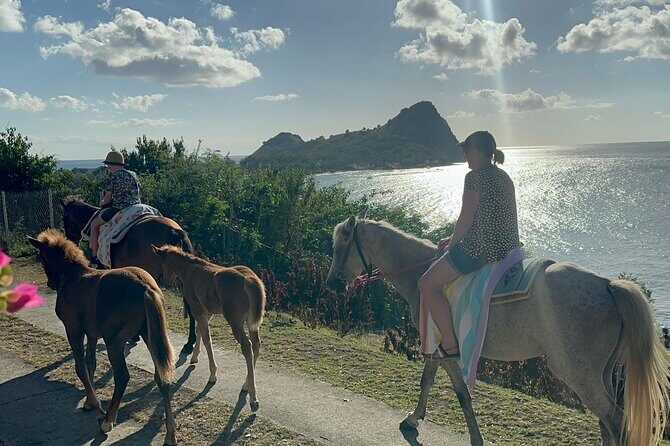 Gros Islet Village Horseback Riding run with Dore's riding Stable - Down past Pigeon Pointe Beach to Gros-Islet Village