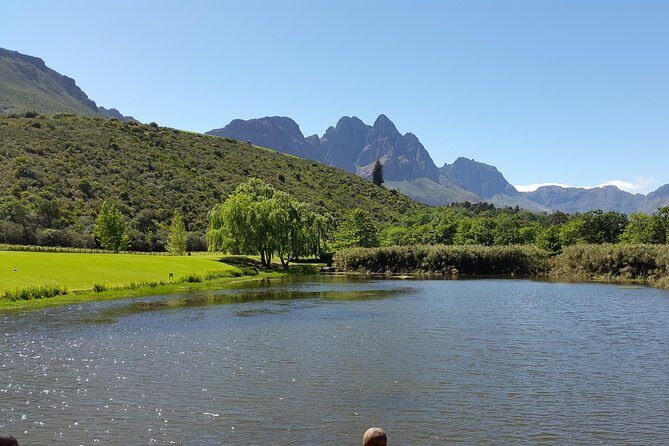 Guided Bike Tour of Stellenbosch - Stark-Conde Wines: Scenic Views Plus Another Tasting Moment