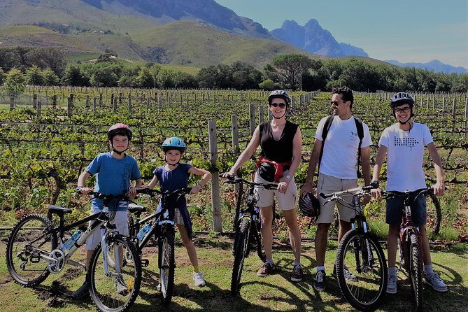 Guided Bike Tour of Stellenbosch - How Hard Is It Really? Pace, Gear, and What to Expect