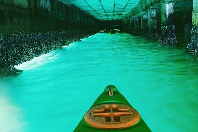 Guided Kayaking in Hout Bay - Hout Bay Harbor Stop: Where Wildlife Spotting Gets Real