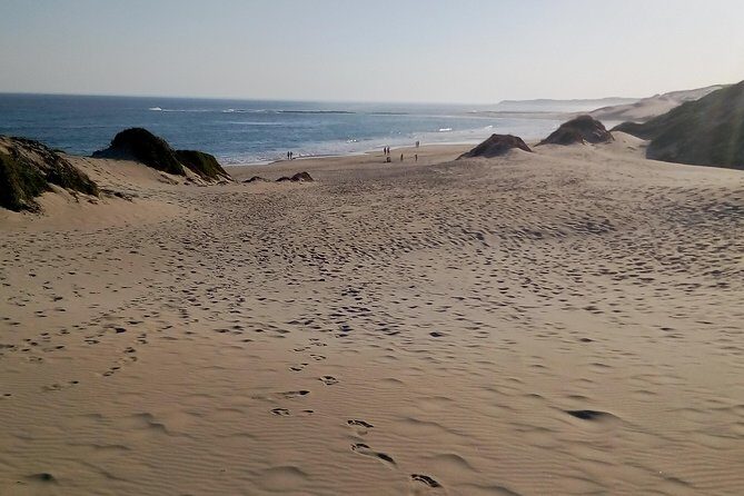 Guided Marine Walk: - Sardinia Bay (Marine Protected Area) - 3 hours - The 3.5-hour stroll: what you’ll actually do on the beach
