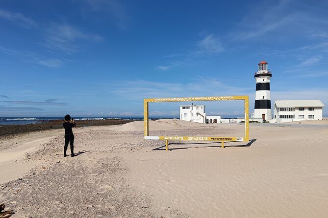 Guided Port Elizabeth Coastal Tour - Key highlights worth marking on your map