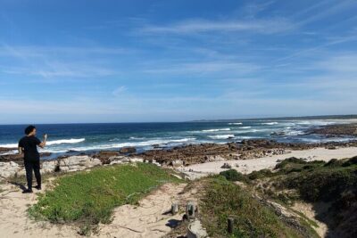 Guided Port Elizabeth Coastal Tour - SANCCOB Penguin Rehabilitation Center: More Than Cute Photos