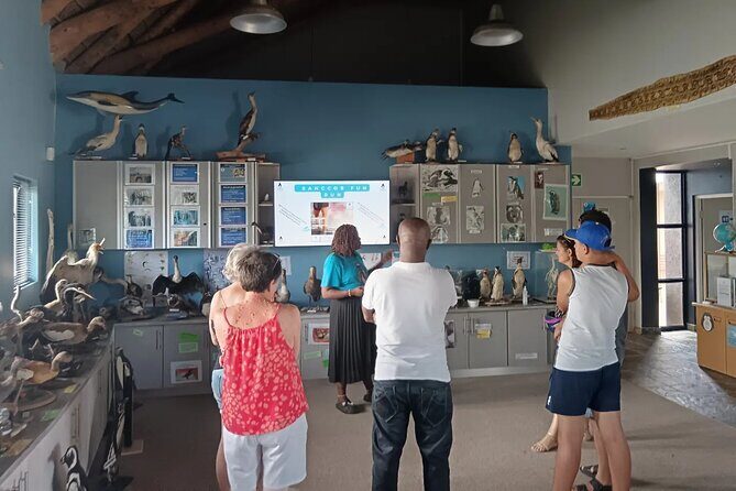 Guided Port Elizabeth Coastal Tour - Who should book this coastal tour in Port Elizabeth?