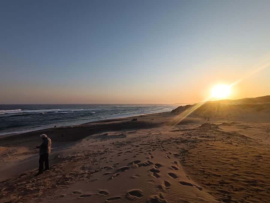 Guided Port Elizabeth Coastal Tour - Should You Book This Port Elizabeth Coastal Tour?