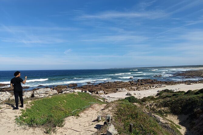 Guided Port Elizabeth Coastal Tour - SANCCOB in Gqeberha: African penguins and real conservation work