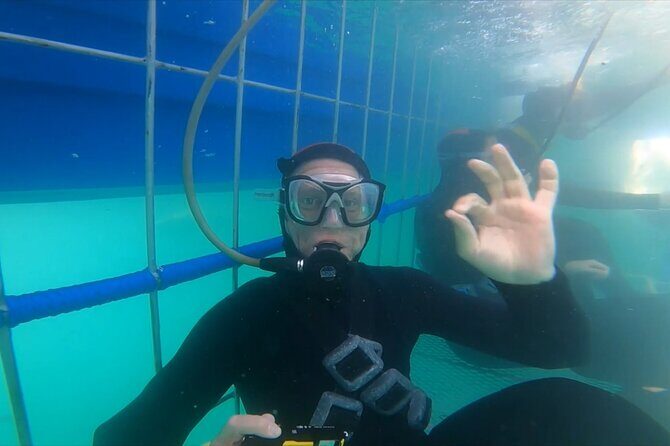 Guided Shark Cage Diving with Hookah Air Supply in Gansbaai - Why Gansbaai’s shark zone feels different from a cage