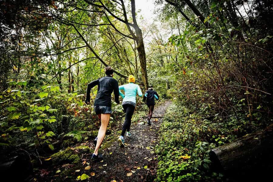 Guided Sunrise Adventure Trail Run Table Mountain, Cape Town - Key Highlights You’ll Feel From Start to Finish
