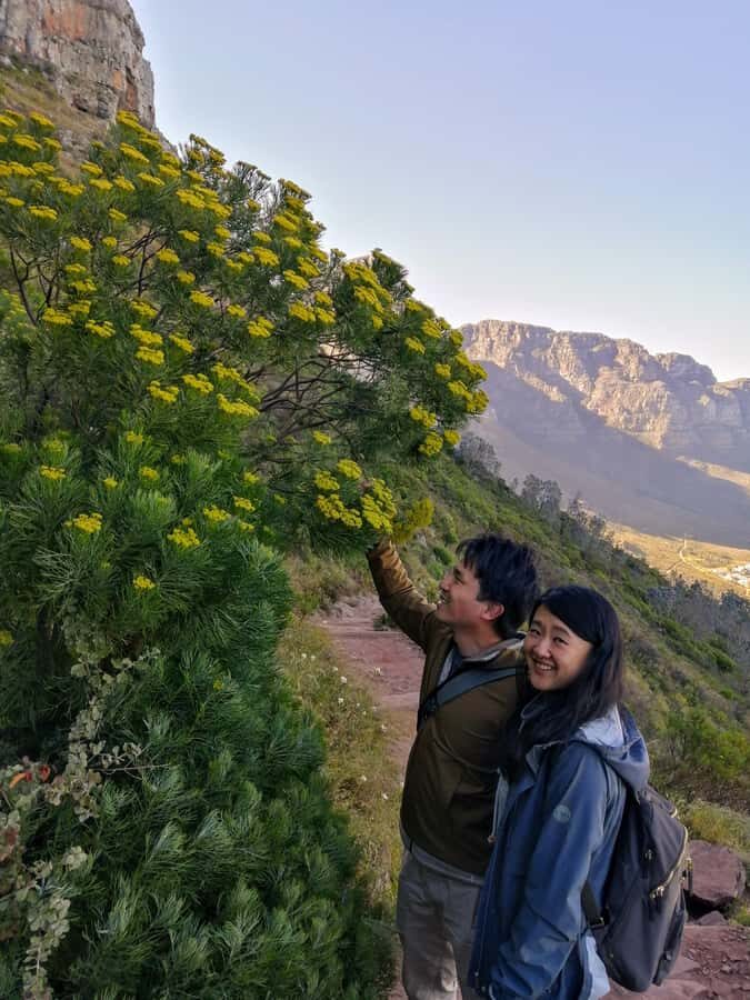 Guided Table Mountain Hike – Kasteelspoort Scenic Route - Gear and weather: a rain-or-shine hike means you plan