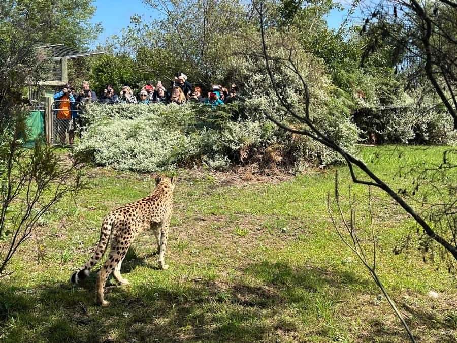 Guided Wildlife Tour and Forest Walk with Lunch Platter - Cameras, no selfie sticks, and how to get better photos fast