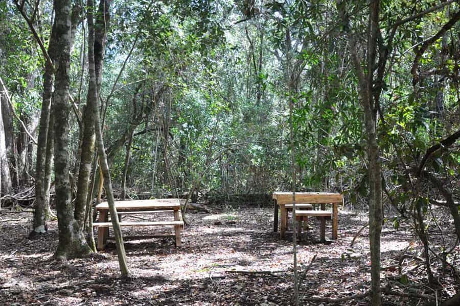 Guided Wildlife Tour and Forest Walk with Lunch Platter - Price and value: what $63 buys you in a 4-hour window