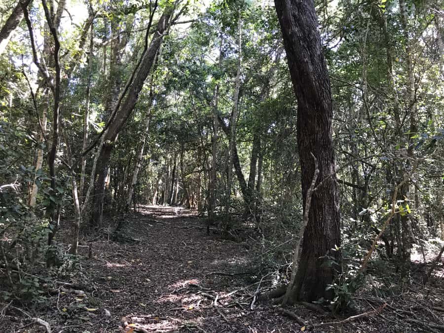 Guided Wildlife Tour and Forest Walk with Lunch Platter - Getting started at reception and how the order affects your day
