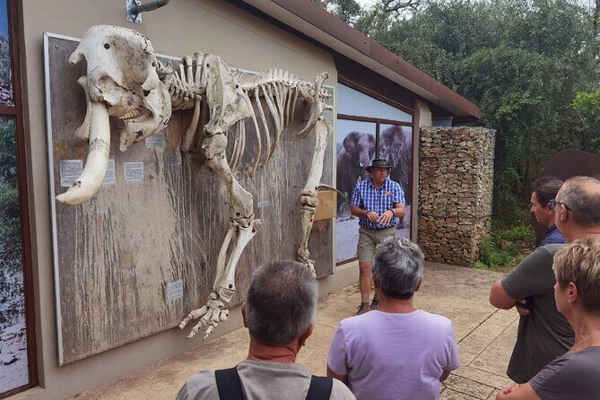 Half-Day Addo Elephant National Park - Photo expectations: why elephants are the payoff and predators are the bonus