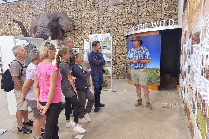 Half-Day Addo Elephant National Park - Price and value: what you’re paying for (and what you’re not)
