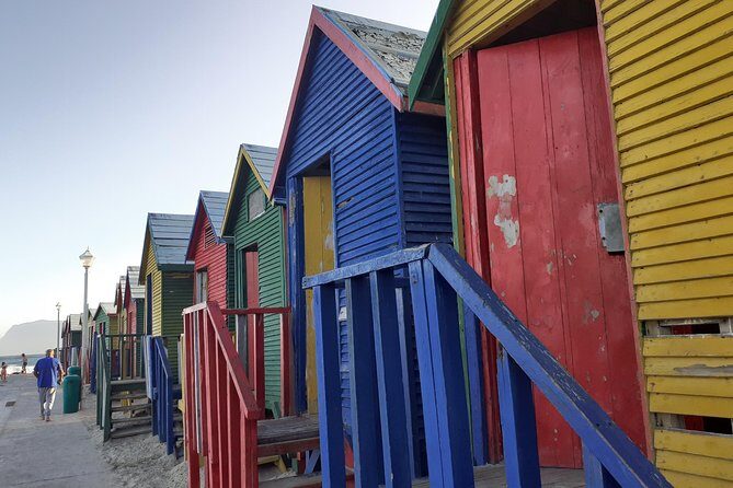Half day African Penguin Tour - Hout Bay and Chapmans Peak: Why the Drive Is Half the Fun