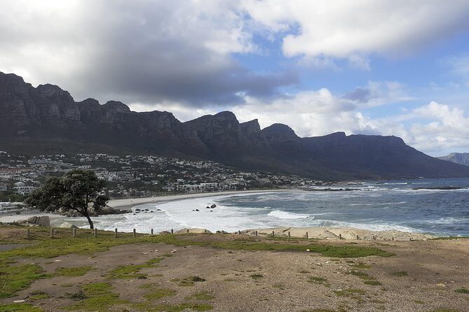 Half day African Penguin Tour - Boulders Beach Penguin Colony: What You’ll Really See and How to Prepare