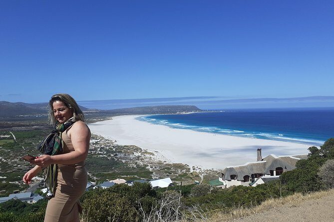 Half day African Penguin Tour - Price and Value: Is $71.89 Worth It?