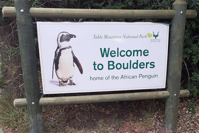 Half day African Penguin Tour - Getting There: Pickup, AC Comfort, and a No-Parking Mindset
