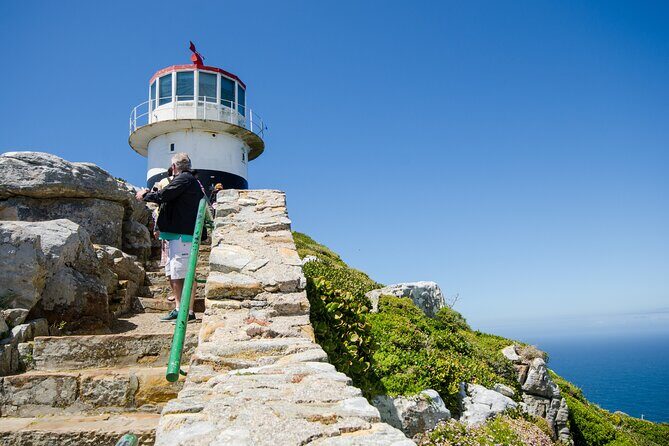 Half day am or pm Boulders Beach & Penguins with visit to Cape Point Great tour - Cape Point lighthouse time: climb or funicular (you choose)