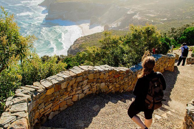 Half day am or pm Boulders Beach & Penguins with visit to Cape Point Great tour - Chapman’s Peak Drive: where the views start early