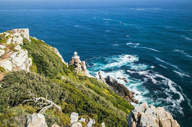 Half-Day Cape Peninsula Tour from Cape Town - Boulders Beach Penguin Colony: Optional, Short, and Worth Planning Around