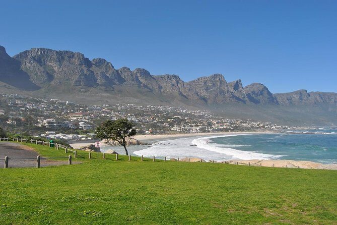 Half day Cape Point Sightseeing Tour with Penguins from Cape Town - Cape Point Nature Reserve: wildlife chances plus real walking time