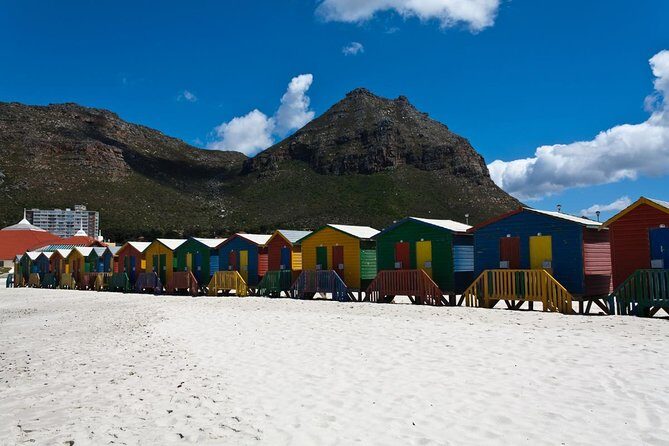 Half day Cape Point Sightseeing Tour with Penguins from Cape Town - Who this half-day Cape Point with penguins fits best