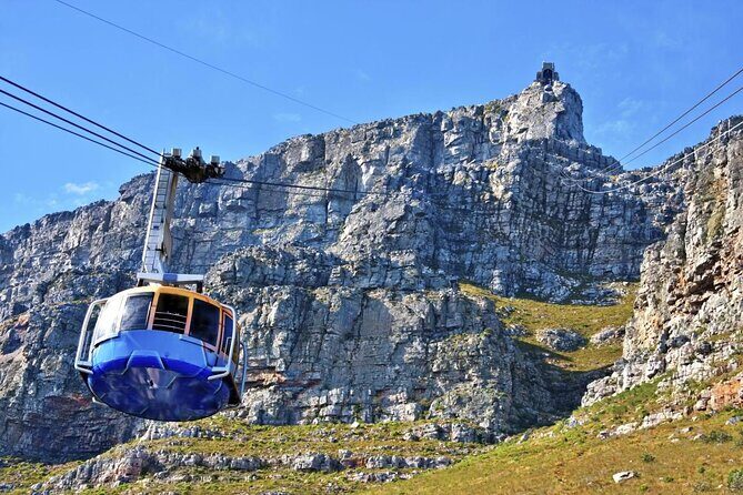 Half day City & Table Mountain Tour - Key highlights to know before you go