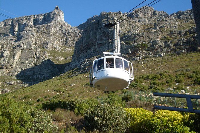 Half day City & Table Mountain Tour - Table Mountain Aerial Cableway: Why 3,500 Feet Changes How You See Cape Town