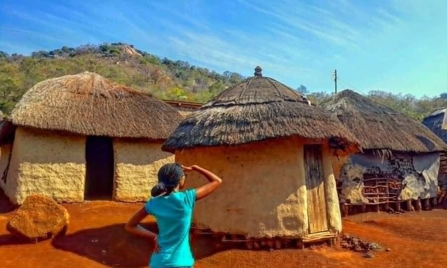 Half Day Durban City Tour and Phezulu Safari Park - Who this tour fits best in your travel style