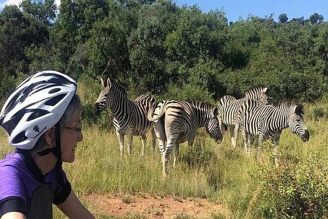 Half Day E-Biking with Wildlife Watching in Pretoria - Bike setup and gear talk: you’re not left figuring it out
