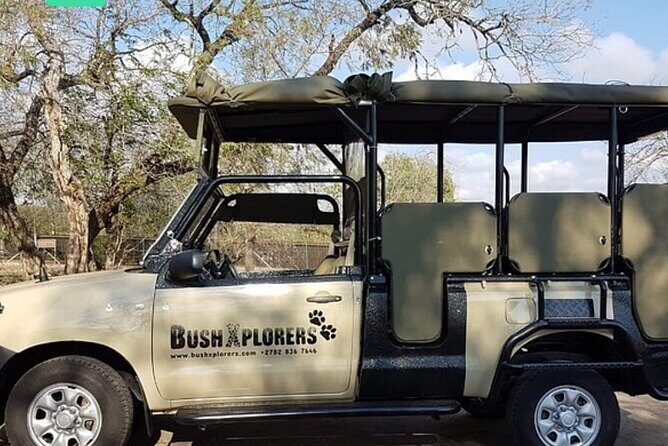 Half day game drive - Key Things You’ll Notice on This Kruger Drive