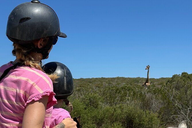 Half day Horse back safari - Pacing Over 4 Hours: How the Day Flows