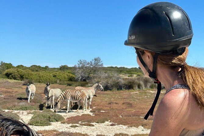Half day Horse back safari - Price and Inclusions: What You’re Paying For