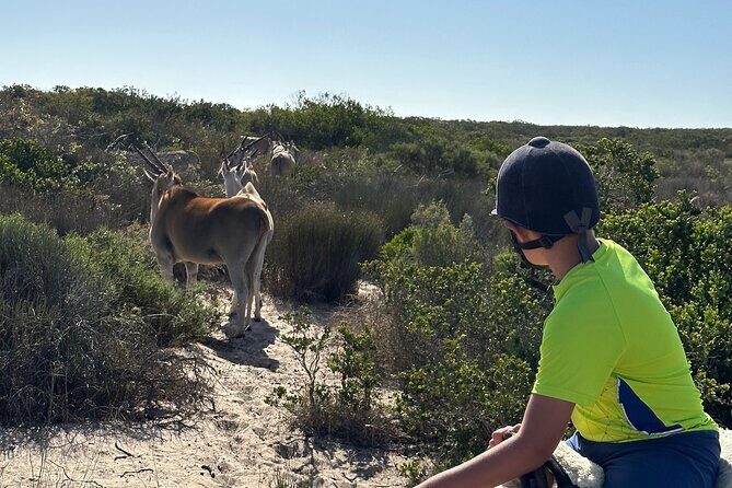 Half day Horse back safari - Lunch at the Farm and Culture at !Khwa ttu San Heritage Centre